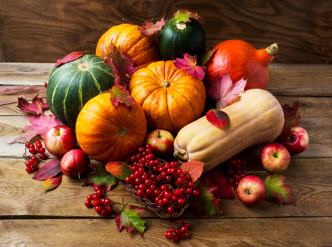 Giornata nazionale della zucca