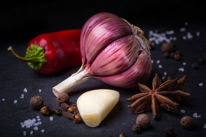 National garlic day
