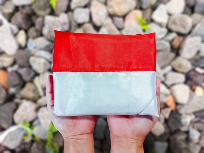 Dan heroja (Hari Pahlawan)