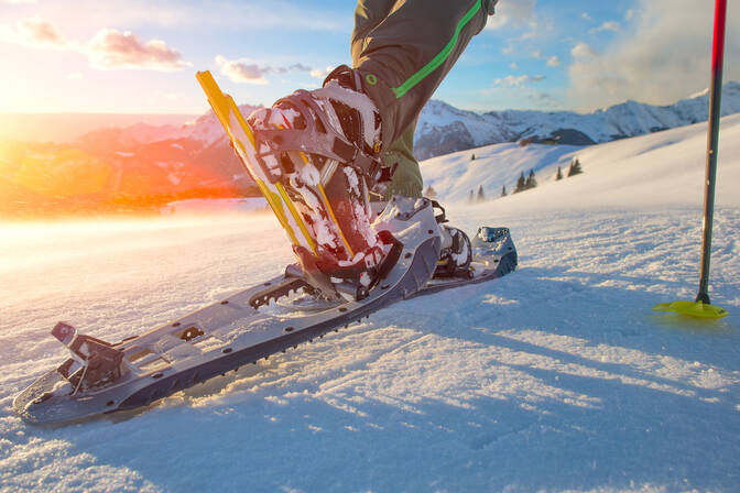 Nationaler Schneeschuhtag