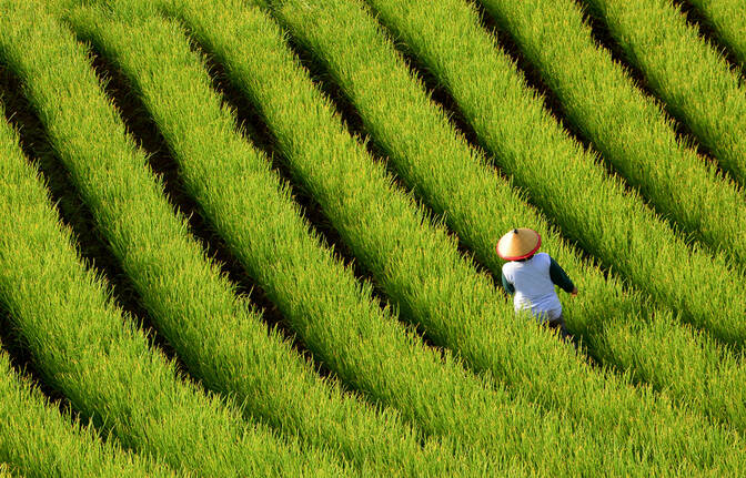 Ceremonija Kraljevskog Pahotyja