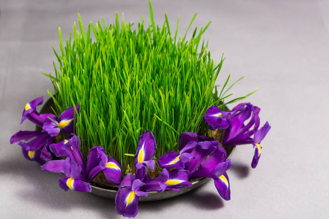 Novruz