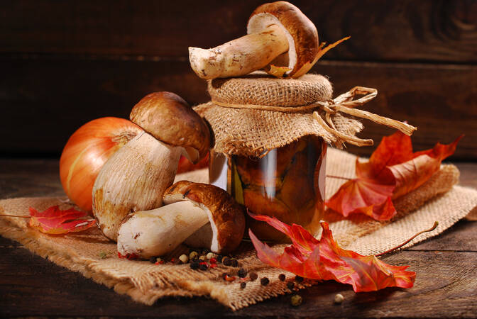National Mushroom Day