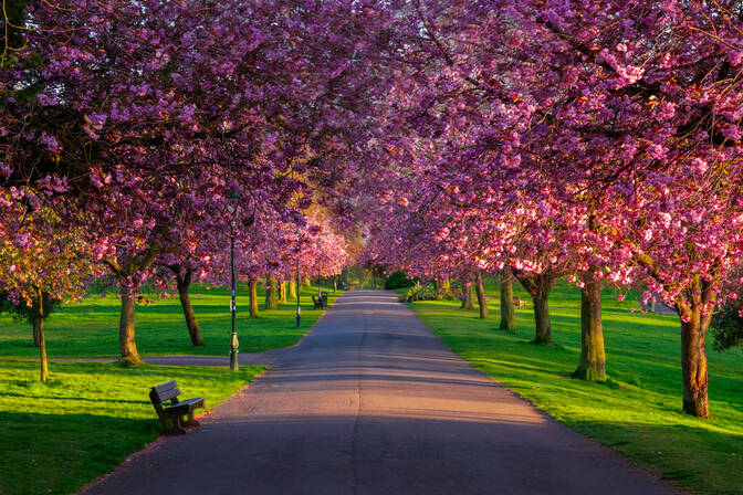 Take a Walk in the Park Day