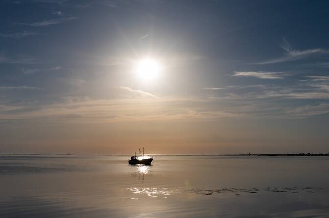 Wereld Maritieme Dag