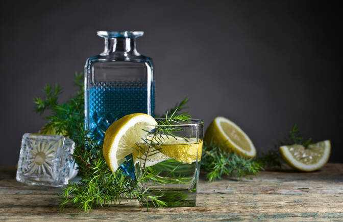 Wereld Gin Dag