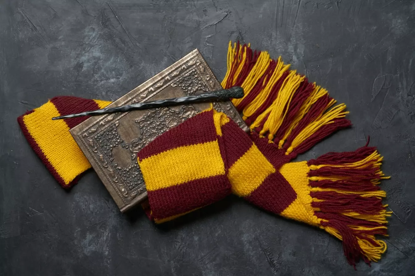 Hari Harry Potter Internasional