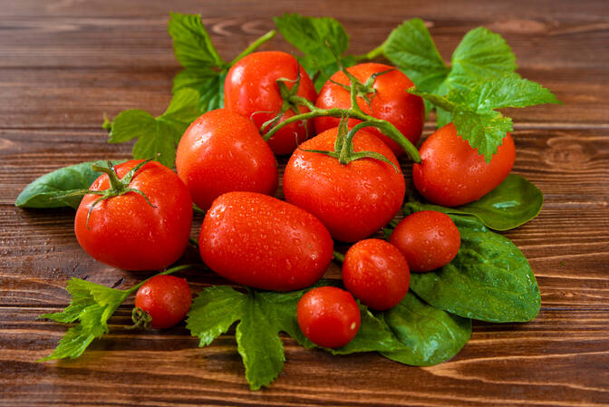 La Tomatina