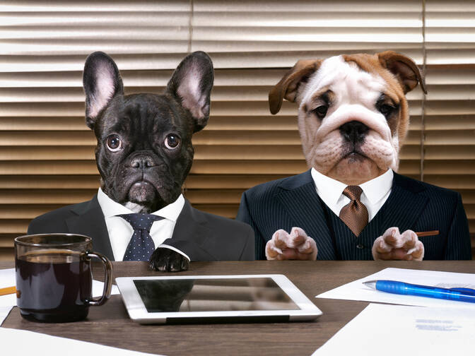Giornata del lavorare come un cane