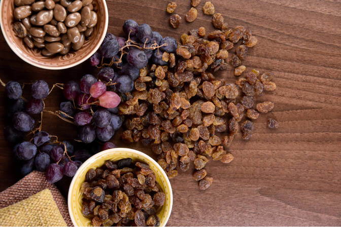 Journée nationale des raisins secs enrobés de chocolat