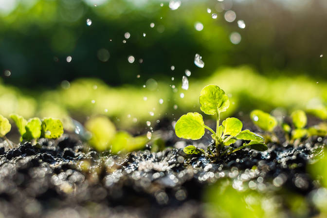 Journée des travailleurs de l'économie de l'eau et de la remise en état des terres