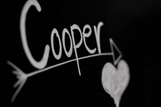 Dia Nacional da Cooper