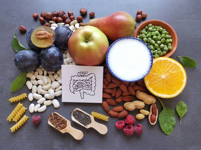 Journée mondiale de la santé digestive
