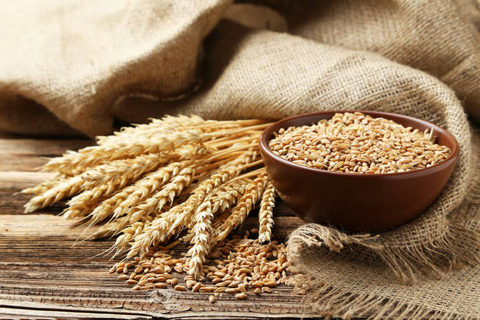 Национальный день пшеницы