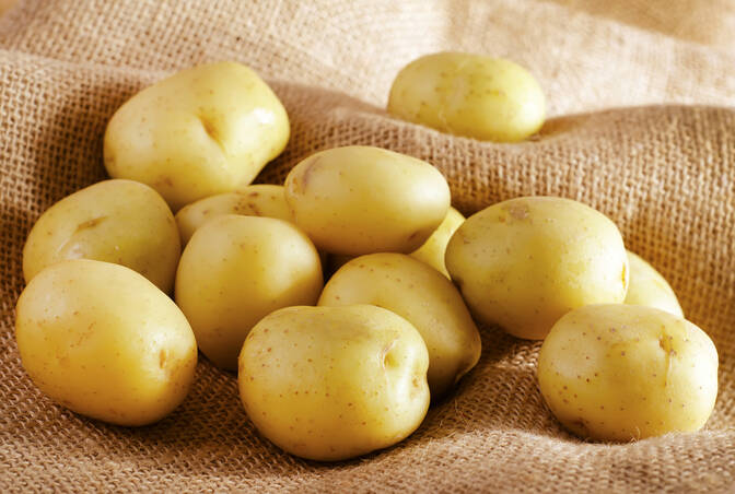 National Tater Day