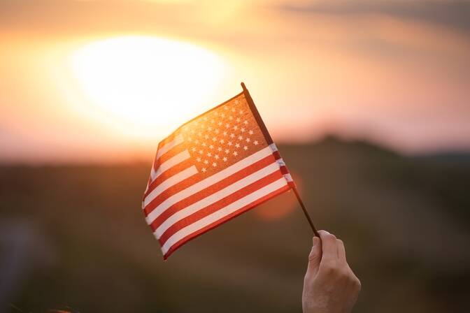Indivisible Day