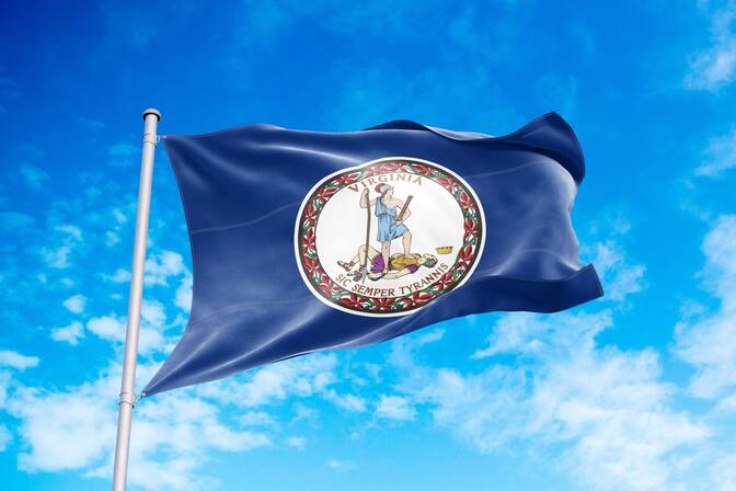 National Virginia Day