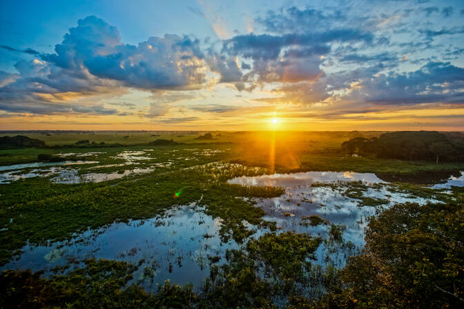 Wereld Wetlands-dag