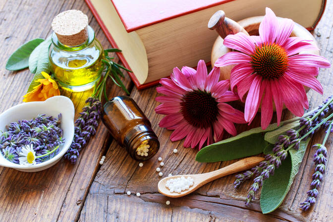 Día Nacional de la Homeopatía