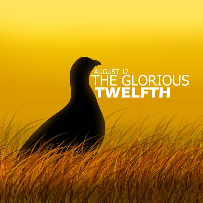 Glorious Twelfth