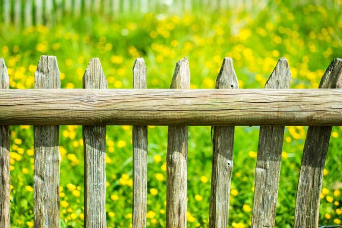 Grass is Always Browner on the Other Side of the Fence Day