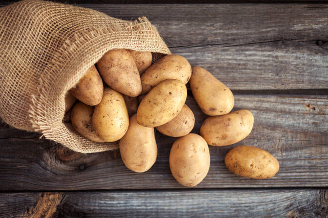 Potato Day in Peru