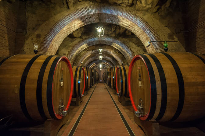 Pinot Grigio Day
