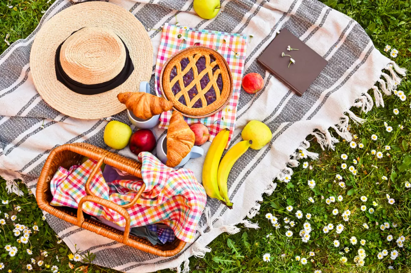International Picnic Day