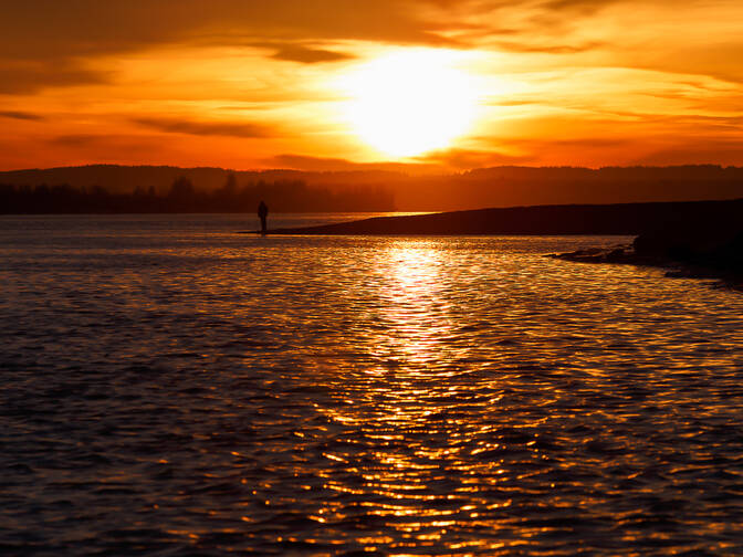 International Survivors of Suicide Loss Day