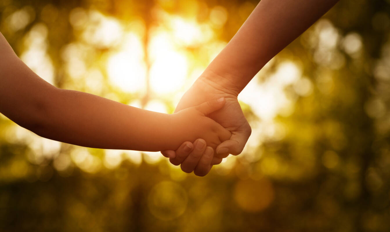 August 12, 2025: Your Ultimate Middle Child, Vinyl & Julienne Fries Day Checklist! - 2sw4ak3