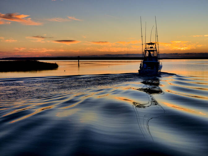 World Day for the End of Fishing