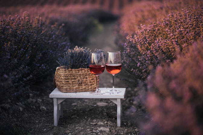 Международный день розового вина