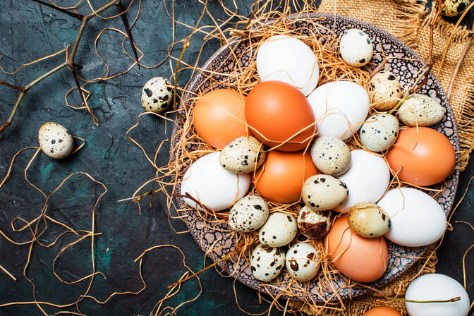 National Egg Day