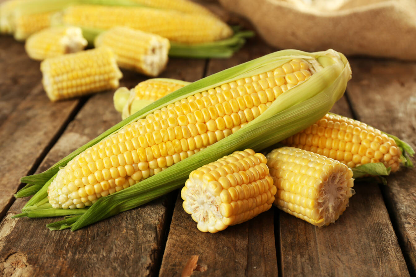 Corn кукуруза